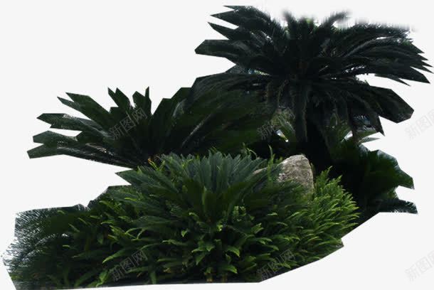园林绿化植物美景png免抠素材_新图网 https://ixintu.com 园林 植物 绿化 美景