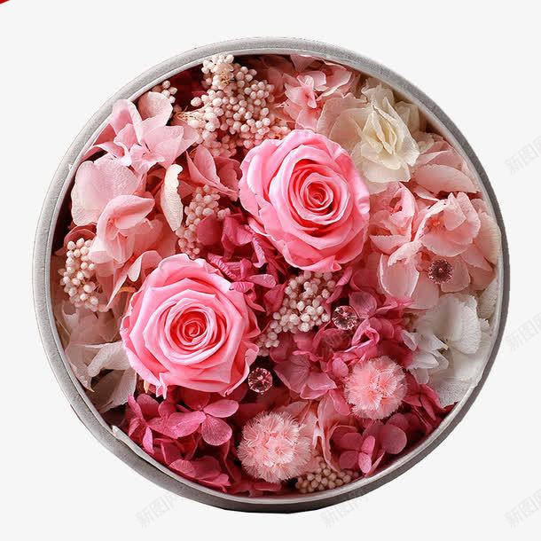 粉色玫瑰花礼物盒png免抠素材_新图网 https://ixintu.com 免费png下载 玫瑰花 礼物盒 粉色