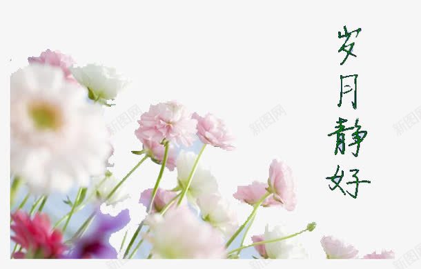 花朵岁月静好png免抠素材_新图网 https://ixintu.com 中国风 字 岁月静好 花 静好岁月