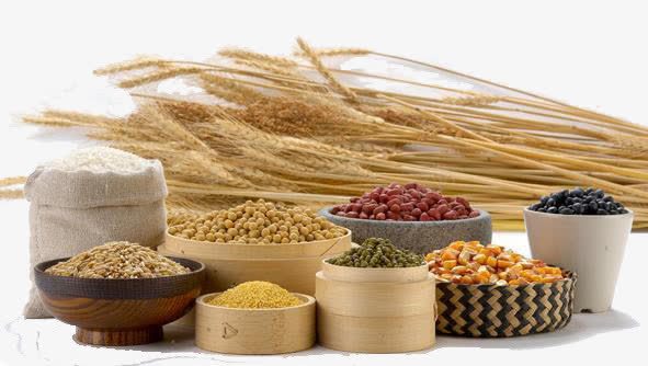 粮食png免抠素材_新图网 https://ixintu.com 丰收 五谷杂粮 庄稼 秋收 秋收万颗籽 粮食 食材