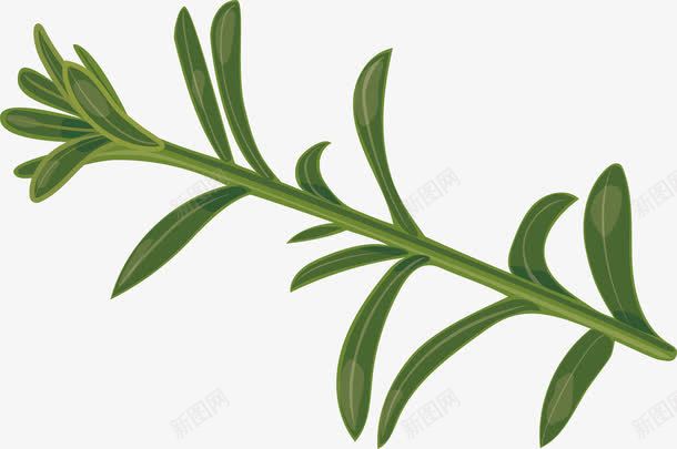 植物火锅食物香料png免抠素材_新图网 https://ixintu.com 卡通 吃的 手绘香料 火锅食物香料 火锅香料 美食香料 草药 调味香料 辛香料