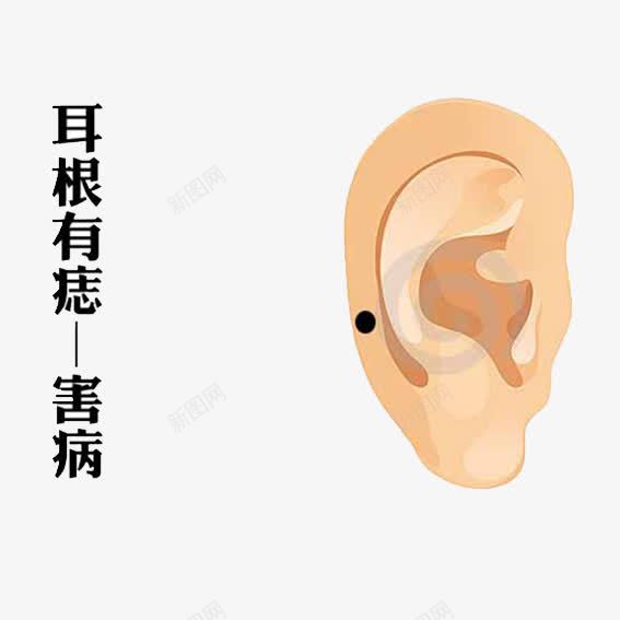 耳根人耳朵png免抠素材_新图网 https://ixintu.com 人耳朵 害病 痣 耳根