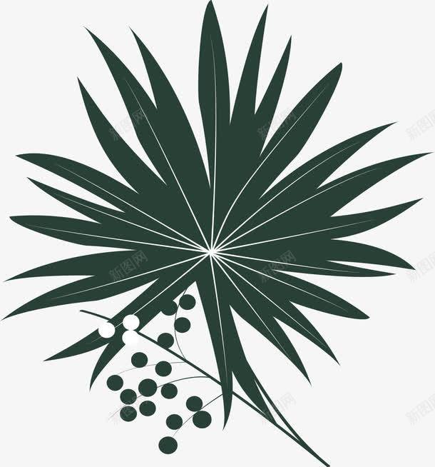 锯棕榈树叶图标png_新图网 https://ixintu.com 树叶矢量 矢量锯棕榈树叶 矢量锯棕榈树叶图标 锯棕榈树叶图标矢量图