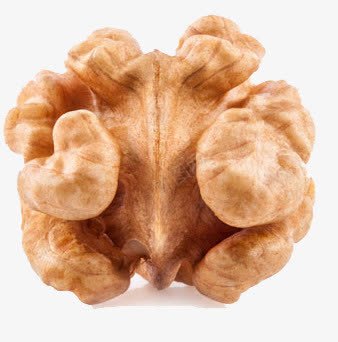 核桃肉png免抠素材_新图网 https://ixintu.com 核桃 核桃摄影图 核桃肉