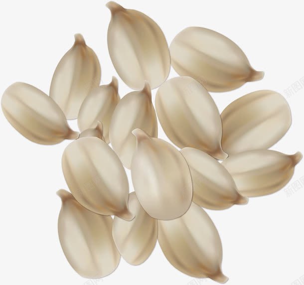 蒜瓣火锅食物佐料png免抠素材_新图网 https://ixintu.com 佐料 吃火锅 吃的 手绘火锅佐料 火锅佐料 火锅食物佐料 食材