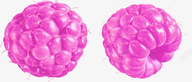 紫色诱人桑葚png免抠素材_新图网 https://ixintu.com 新鲜多汁桑葚 桑葚 水果 紫色 美味桑葚水果
