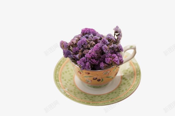 茶杯里的薰衣草png免抠素材_新图网 https://ixintu.com 复古干花 干枯 干花 植物 紫色 花卉 茶杯 薰衣草