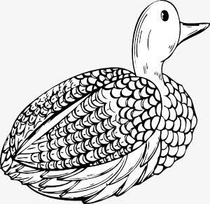 卡通鸭子png免抠素材_新图网 https://ixintu.com 夹 手绘 诱饵 诱饵夹 鸭 鸭卡通艺术剪辑 鸭子 鸭诱饵