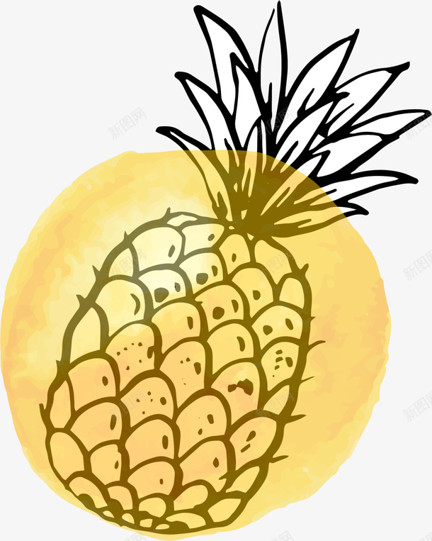 夏季水果手绘菠萝png免抠素材_新图网 https://ixintu.com 凤梨 夏季水果 夏日水果 手绘菠萝 画画 绘画