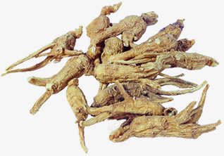 人参药品珍贵药材png免抠素材_新图网 https://ixintu.com 人参 珍贵 药品 药材