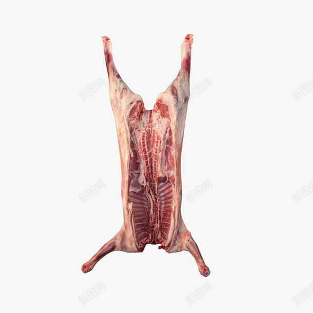 完整的一只羊肉png免抠素材_新图网 https://ixintu.com 烤羊肉 焖羊肉 羊肉 羊肉汤 羊肉美食 羊肉设计