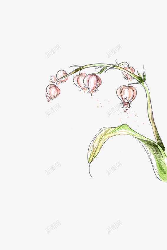 手绘花png免抠素材_新图网 https://ixintu.com 手绘花 手绘花叶 粉色 绿色