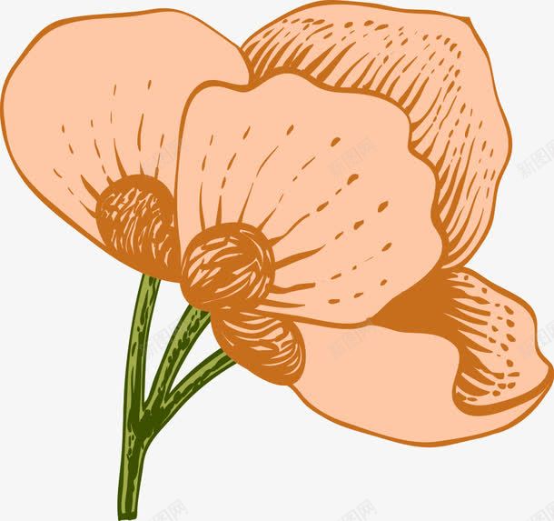 手绘黄色花朵绿根png免抠素材_新图网 https://ixintu.com 花朵 黄色