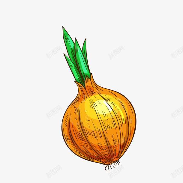 卡通手绘食物食材矢量图ai免抠素材_新图网 https://ixintu.com 卡通 发芽 手绘 植物 食材 食物 黄色 矢量图