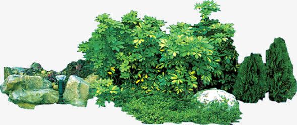 植物假山美景png免抠素材_新图网 https://ixintu.com 假山 图片 植物 美景