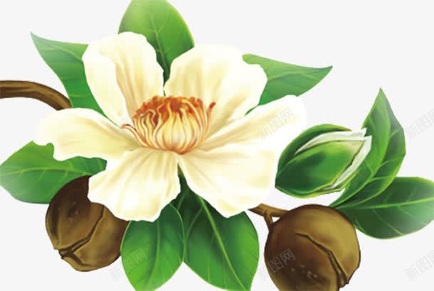 亚麻籽花png免抠素材_新图网 https://ixintu.com 亚麻籽花 亚麻籽花叶相间 亚麻籽花苞 图案装饰 手绘亚麻籽花