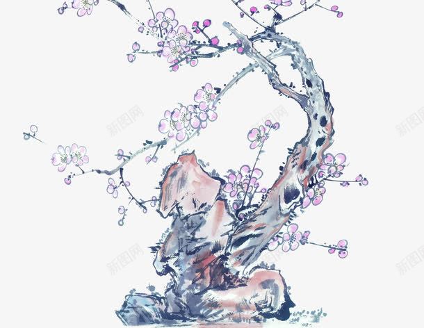 国画梅花古枝奇石png免抠素材_新图网 https://ixintu.com 古典美术 古枝奇石 国画 国画山石 国画梅花 山石 梅花 绘画 美术 腊梅