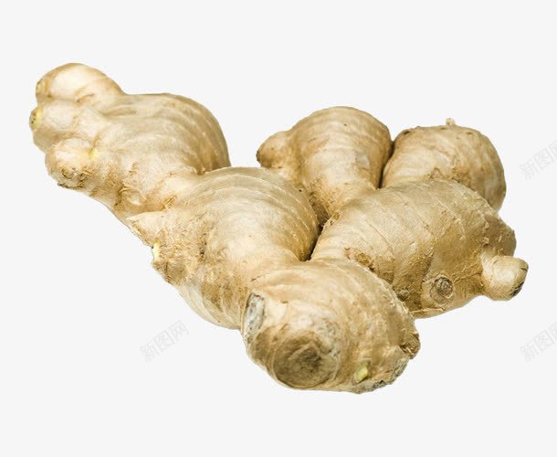 新鲜香料生姜png免抠素材_新图网 https://ixintu.com 姜 生姜 蔬菜 调味品 食物 香料