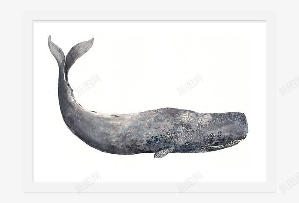 手绘挂画大厅画png免抠素材_新图网 https://ixintu.com 手绘挂画 手绘无框画 手绘艺术 挂画 挂画素描 无框画矢量图