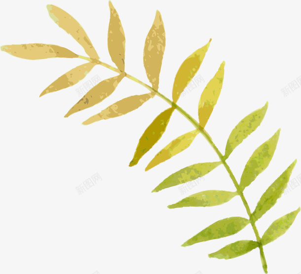 手绘树枝png免抠素材_新图网 https://ixintu.com 图标 彩绘 手绘 手绘树枝 插画 树枝 植物