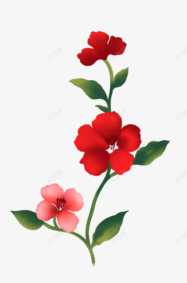 红色花朵和绿叶png免抠素材_新图网 https://ixintu.com 红色 绿叶 花朵 装饰