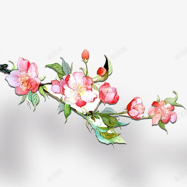 一枝手绘插花png免抠素材_新图网 https://ixintu.com 手绘花 插花 花 花朵 花素材