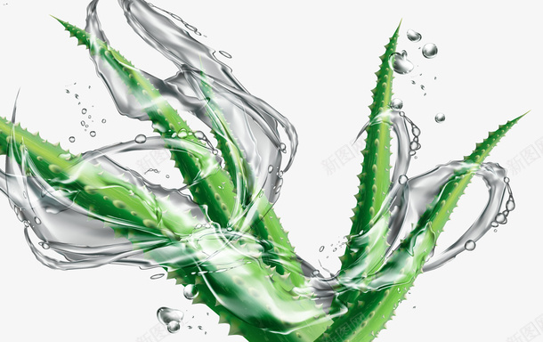 卡通手绘绿色芦荟矢量图eps免抠素材_新图网 https://ixintu.com 卡通手绘芦荟 手绘芦荟png 矢量芦荟 绿色芦荟 芦荟png 芦荟免扣png 矢量图