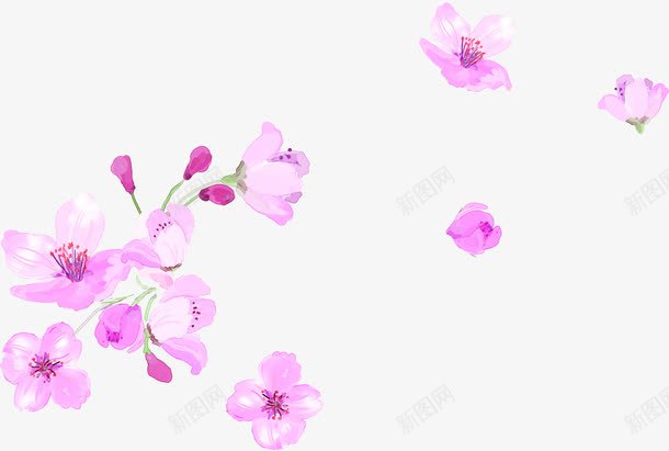 手绘粉色花朵海报教师节png免抠素材_新图网 https://ixintu.com 教师节 海报 粉色 花朵