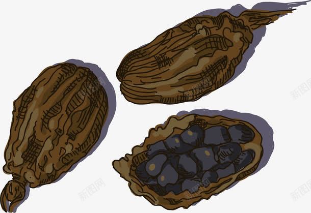 砂仁火锅食物香料png免抠素材_新图网 https://ixintu.com 吃的 手绘香料 火锅食物香料 火锅香料 砂仁 美食香料 调味香料 辛香料 食材