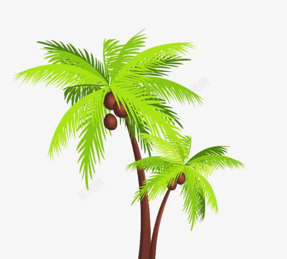 椰子树png免抠素材_新图网 https://ixintu.com 卡通植物 卡通椰子树 卡通椰子树上的果实 咖色 绿色
