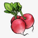 萝卜水果蔬菜接下去的时间png免抠素材_新图网 https://ixintu.com fruit radish vegetable 水果 萝卜 蔬菜