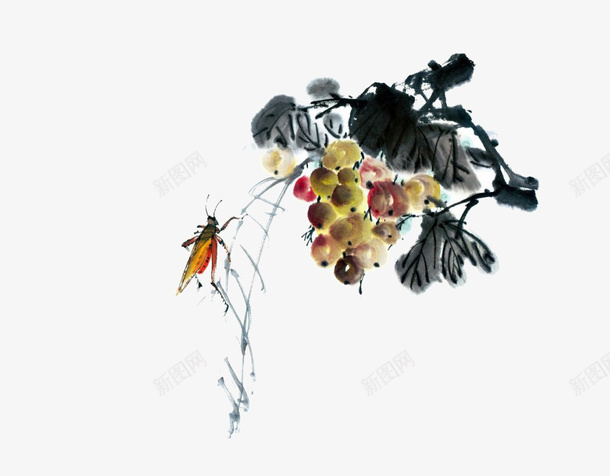 水墨植物虫子png免抠素材_新图网 https://ixintu.com PNG图形 PNG装饰 植物 水墨 虫子 装饰