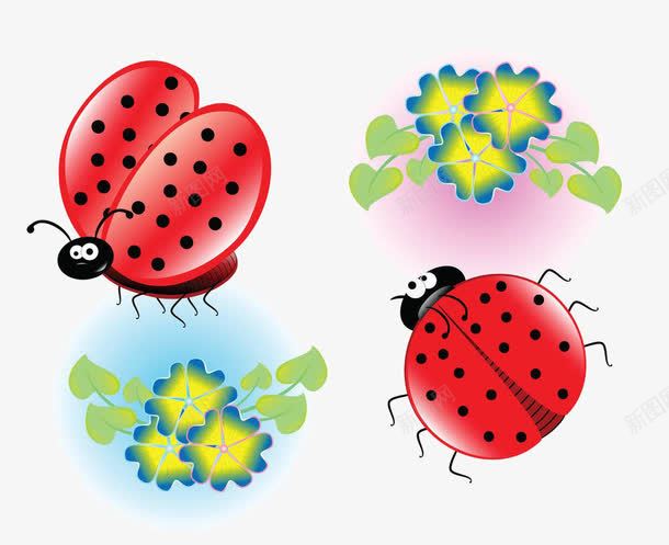 卡通七星瓢虫花朵png免抠素材_新图网 https://ixintu.com 七星瓢虫 卡通 花朵