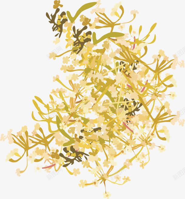 茴香png免抠素材_新图网 https://ixintu.com 卡通 手绘 茴香 调料