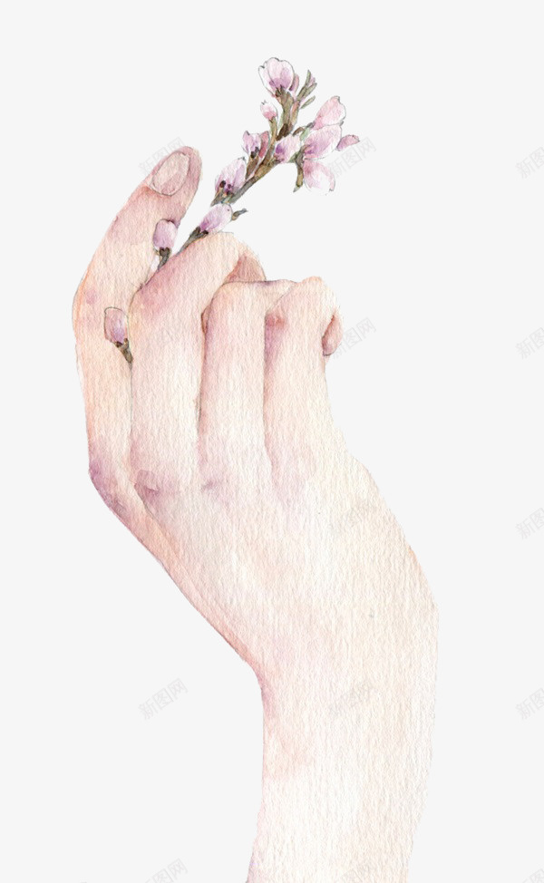 彩绘装饰手拿鲜花png免抠素材_新图网 https://ixintu.com 彩绘 手 手拿鲜花 手绘 芊芊玉手 装饰图案 鲜花