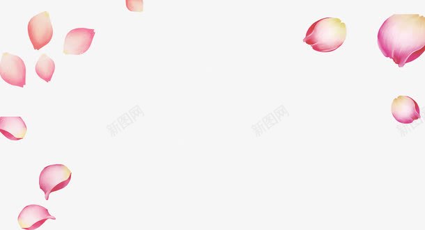 花瓣玫瑰花瓣粉色淘宝png免抠素材_新图网 https://ixintu.com 花瓣玫瑰花瓣粉色淘宝素材