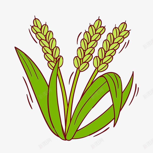 水稻手绘png免抠素材_新图网 https://ixintu.com 可同 手绘 插画 水稻 水稻插画