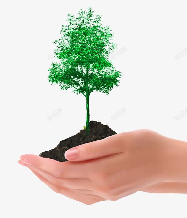 发芽树苗png免抠素材_新图网 https://ixintu.com 树苗 绿色 设计 透明