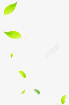 绿色清新植物海报装饰png免抠素材_新图网 https://ixintu.com 植物 海报 清新 绿色 装饰