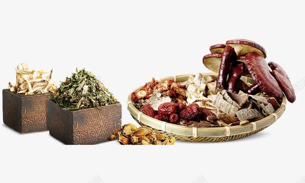 草药中药png免抠素材_新图网 https://ixintu.com 草药中药
