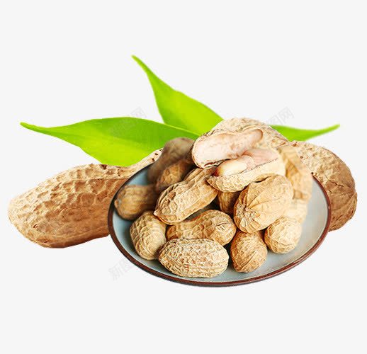 一叠白衣花生png免抠素材_新图网 https://ixintu.com 产品实物 土生植物 白衣花生 碟子 绿叶 花生 食物