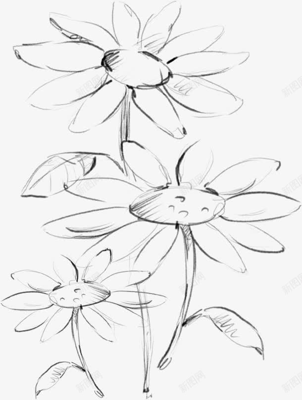 手绘黑色线条花朵png免抠素材_新图网 https://ixintu.com 线条 花朵 黑色