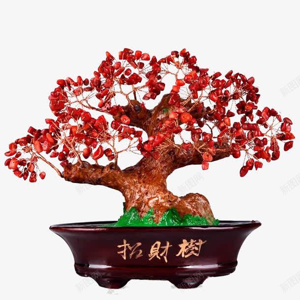 招财树盆景png免抠素材_新图网 https://ixintu.com 免费下载 招财树 招财树素材 招财盆景 盆景免抠素材