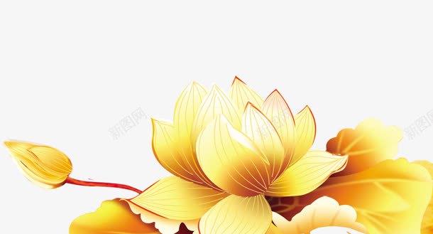 金色荷花中秋装饰png免抠素材_新图网 https://ixintu.com 中秋 荷花 装饰 金色
