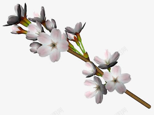 一枝桃花png免抠素材_新图网 https://ixintu.com 大自然 桃色 笔直 花朵