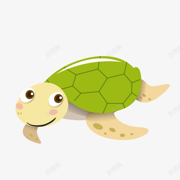 绿色乌龟海龟png免抠素材_新图网 https://ixintu.com PNG矢量 乌龟 海龟 绿色