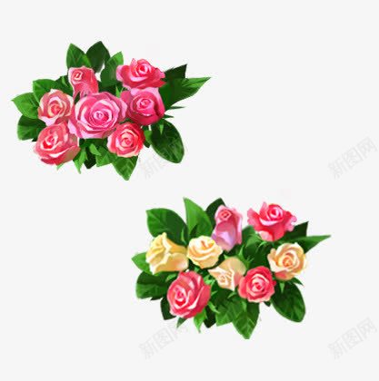 鲜花绿叶png免抠素材_新图网 https://ixintu.com 多色 怒放 手绘 植物 玫瑰花 花朵