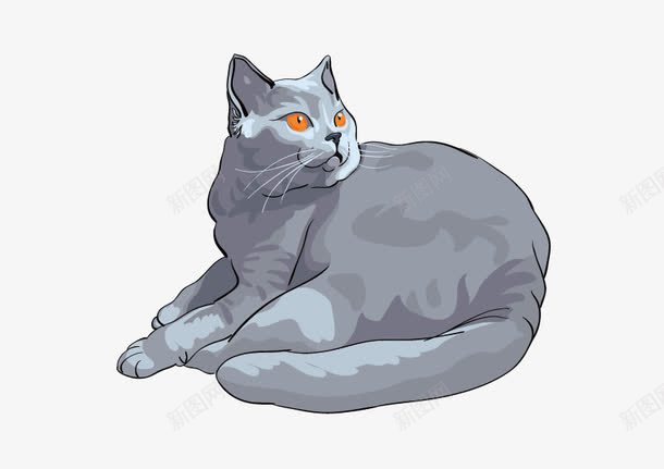 蓝猫png免抠素材_新图网 https://ixintu.com 灰色 蓝猫 转头 黑眼睛