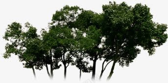 创意绿色植物环境渲染效果png免抠素材_新图网 https://ixintu.com 创意 效果 渲染 环境 绿色植物