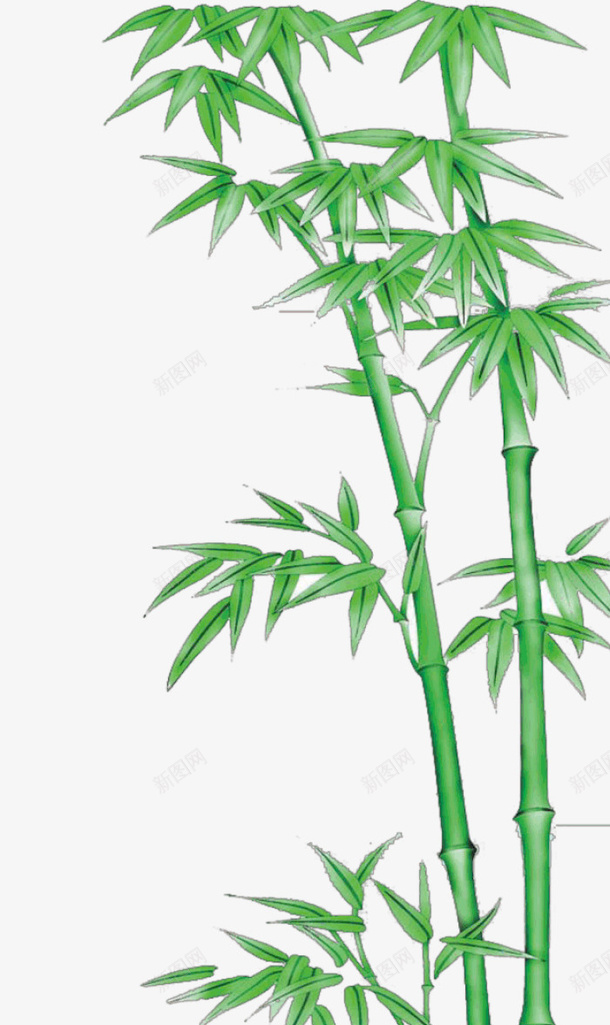 绿色的竹叶png免抠素材_新图网 https://ixintu.com PNG素材 植物 竹叶 绿色